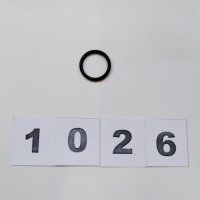 Кільце штока поршня ⌀20х2,65мм Well Kraft CT-LS-2600153 (1026)