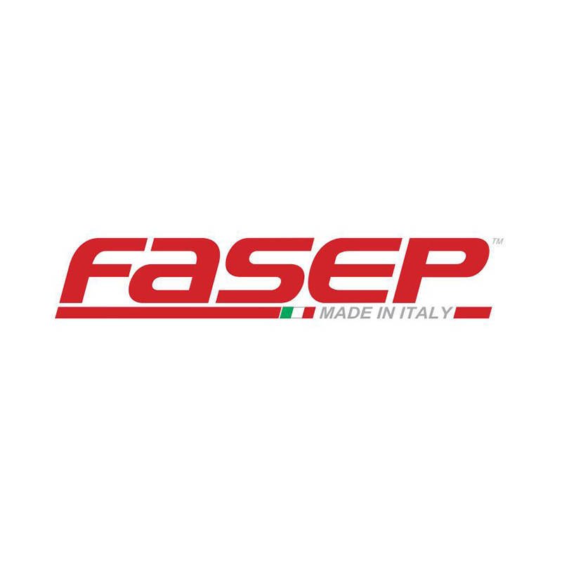 Fasep fasep_logo2.jpg