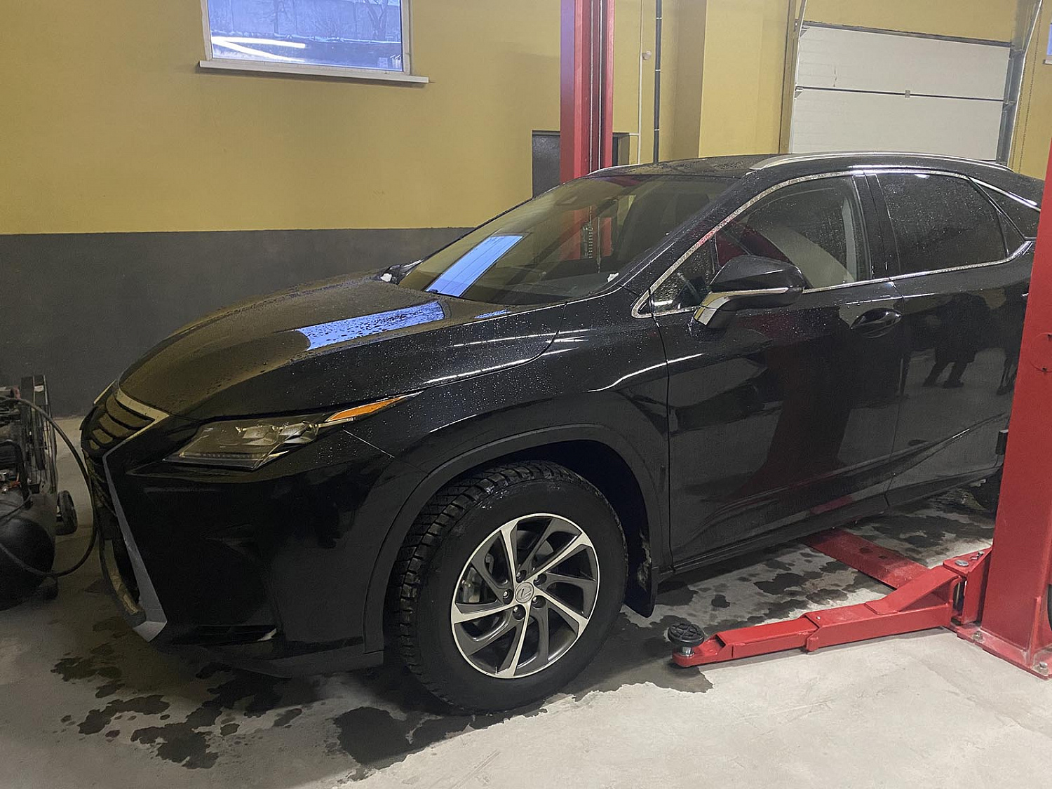 Safe 2040 Advance СТО IMS Катализаторы - Киев